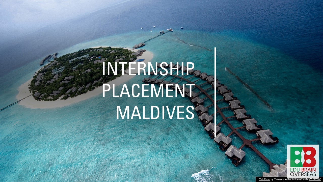 internship-in-maldives