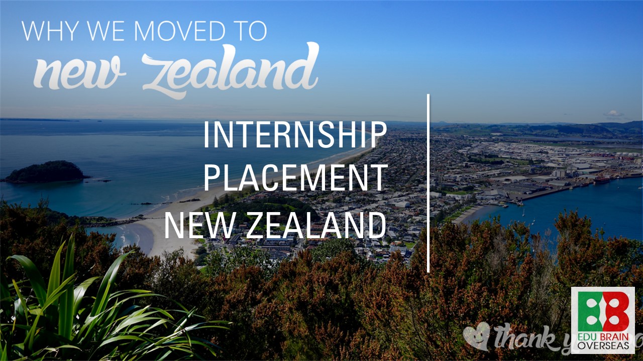 internship-in-newzealand